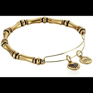 Authentic Alex & Ani “Bamboo” bracelet