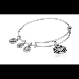 Alex and Ani crab bracelet