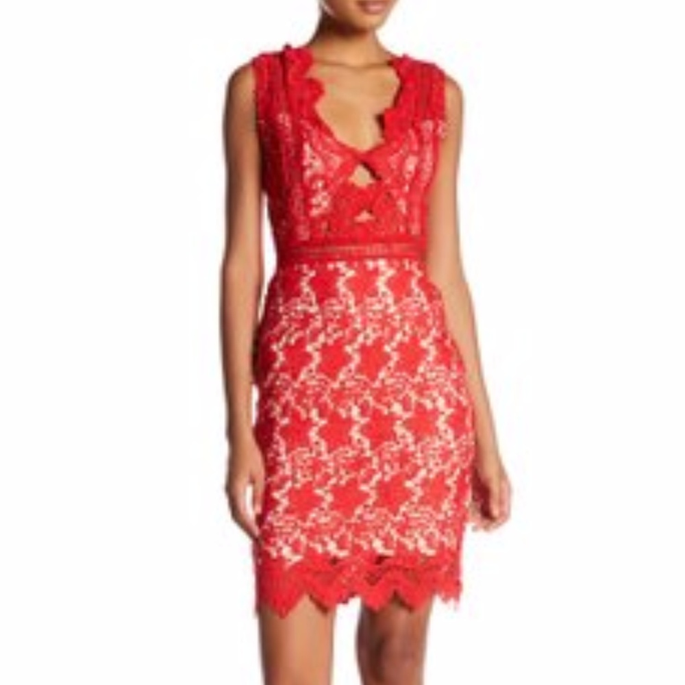 Red Lace Dress! Perfect for Valentine's Day!