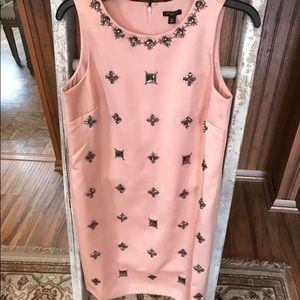 Ann Taylor Blush Dress