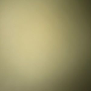 Meet your Posher, Dangelo