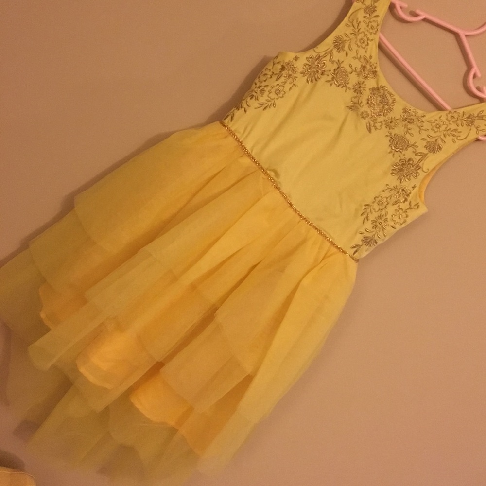 Belle dress GREAT condition!