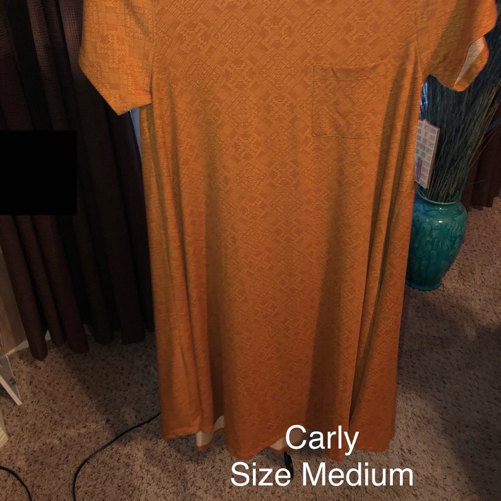 Lularoe Carly