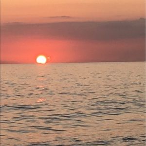 Meet your Posher, Gary