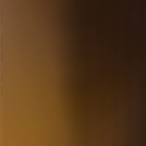 Meet your Posher, Max