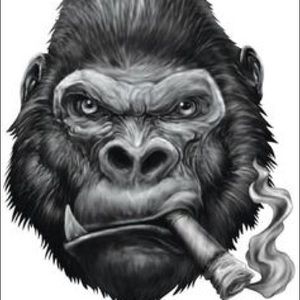 Meet your Posher, Joel