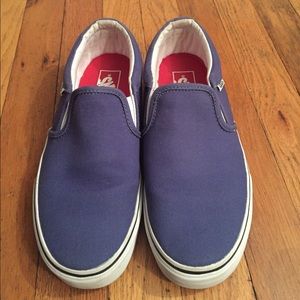 Vans Asher Slip On Skate Shoe