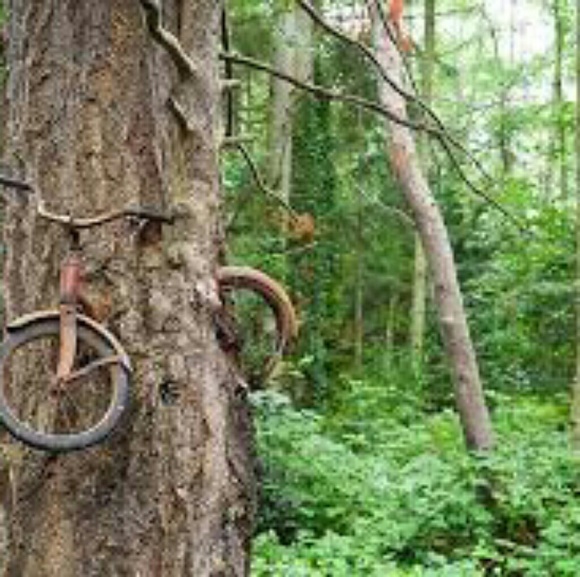 Meet Your Posher!!! - Picture 3 of 8