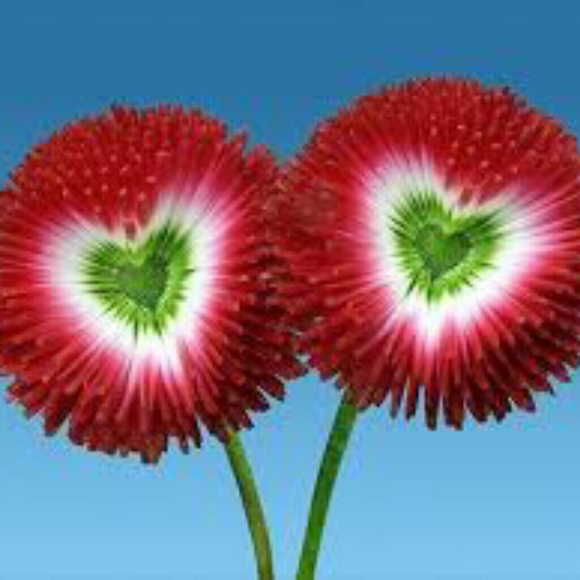 Meet Your Posher!!! - Picture 6 of 8