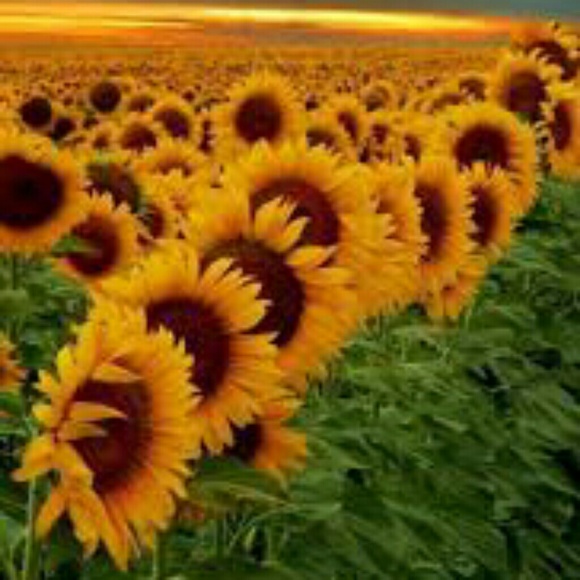 Meet Your Posher!!! - Picture 8 of 8