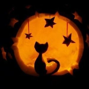 Meet your Posher, Sarai