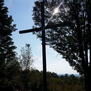 Meet your Posher, Trina