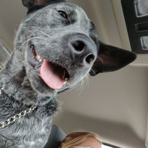 Meet your Posher, Diane