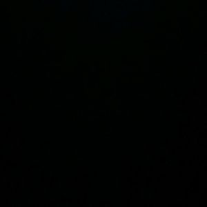 Meet your Posher, Tracey