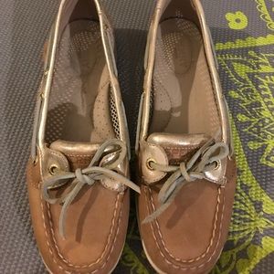 Sperry angel fish