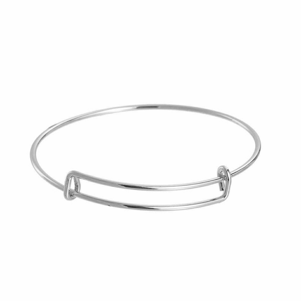 Sedalia Designs Bangle Bracelet For Baubles/Charms