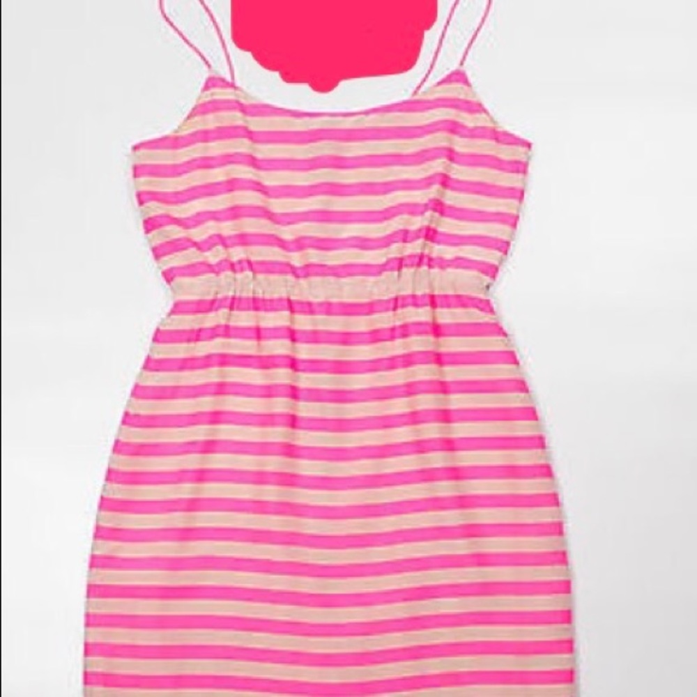 J. Crew dress