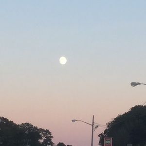 Meet your Posher, Dani