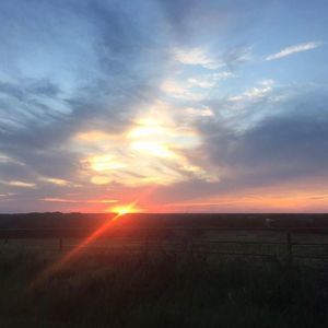 Meet your Posher, Vannia