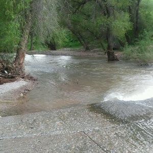 Meet your Posher, Alberto