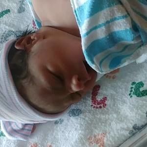 Meet your Posher, Phil