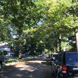 Meet your Posher, Peace