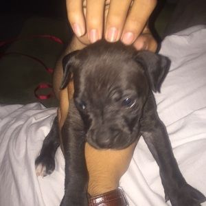 Meet your Posher, Tyler