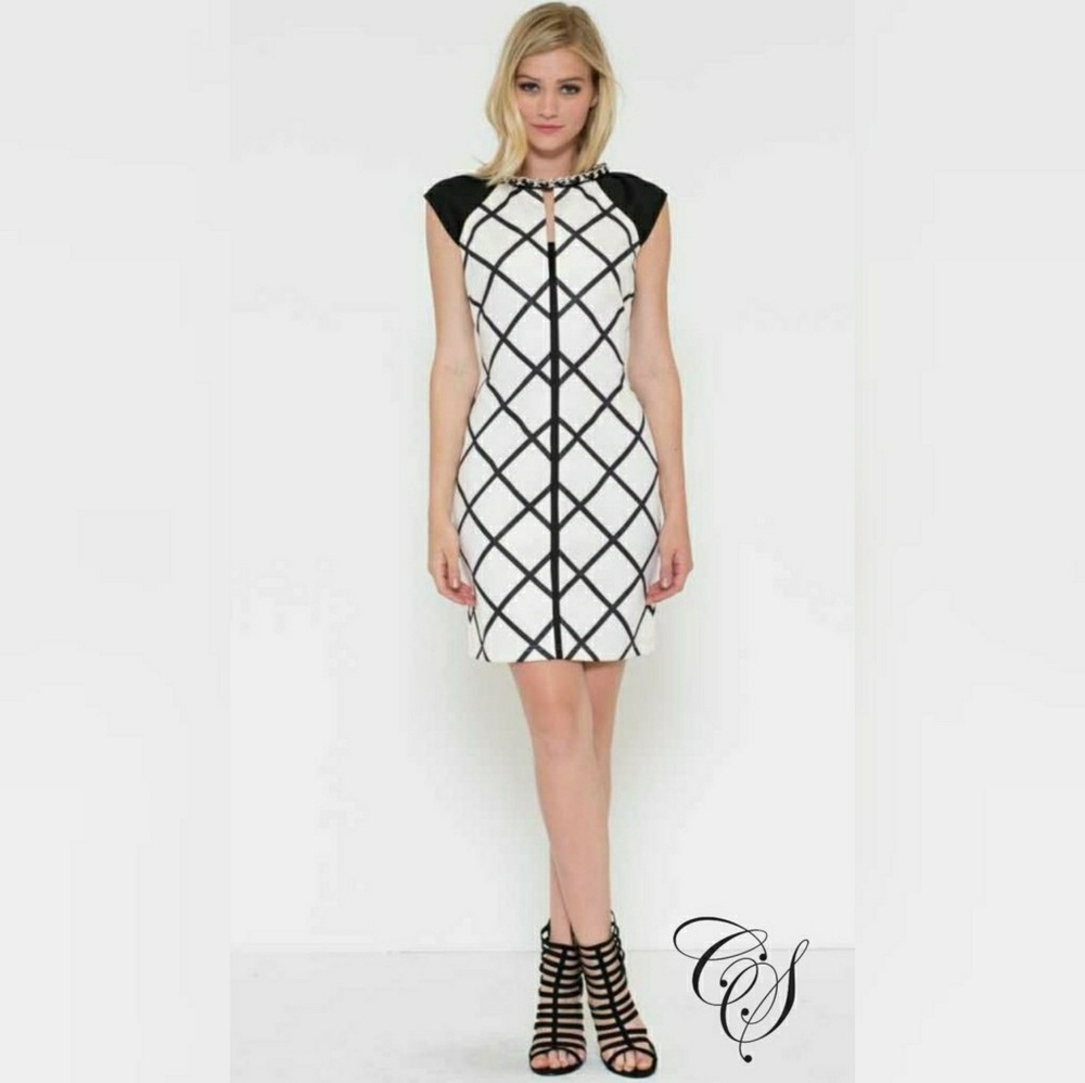 Amanda Black and White Windowpane Checker Sheath D