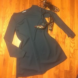 ZARA NWOT A line dress