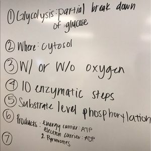 Meet your Posher, Carlos