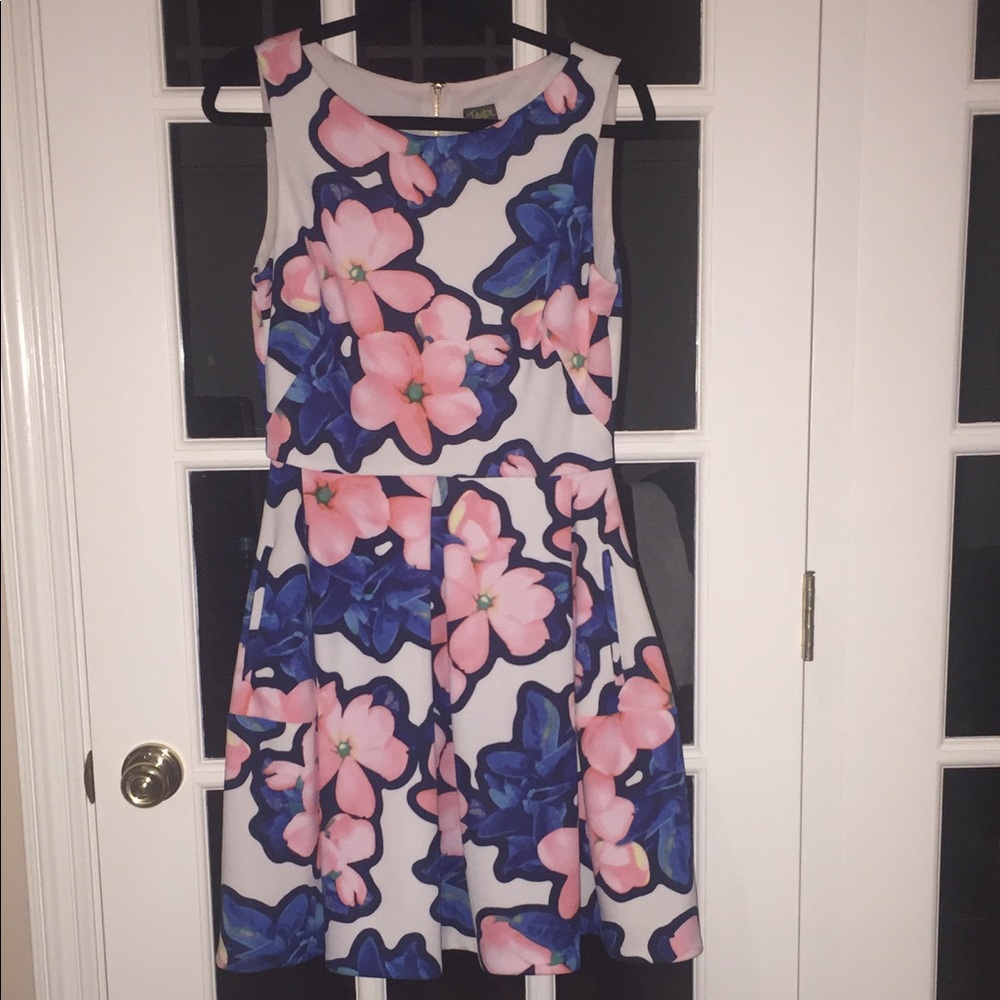 Softly Pleated Fit and Flare Floral Print Dress