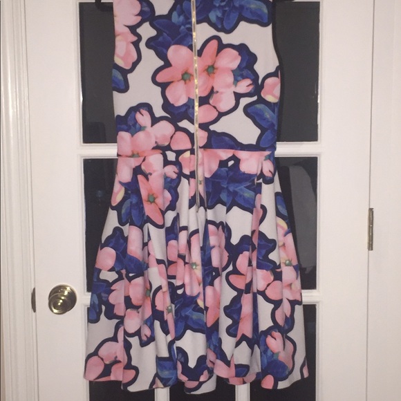 Softly Pleated Fit and Flare Floral Print Dress - Picture 2 of 2