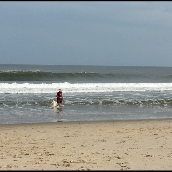 Meet your Posher, Evelyn - Picture 1 of 1