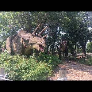 Meet your Posher, Fatima