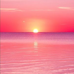 Meet your Posher, Troy