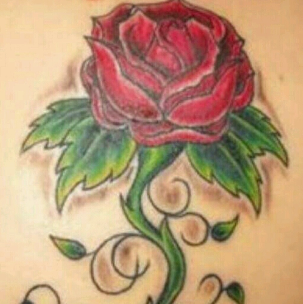 Meet your Posher, Dachelle p.