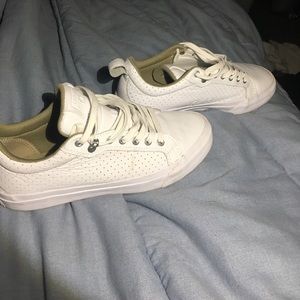 Converse all stars (low top)