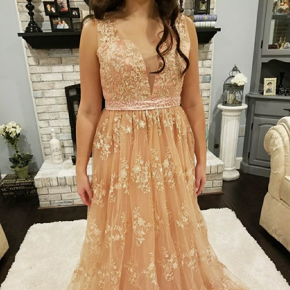 GORGEOUS Blush V-neck Gown