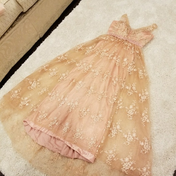 GORGEOUS Blush V-neck Gown - Picture 3 of 3