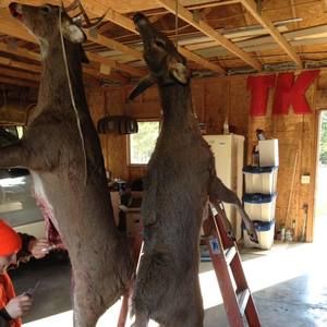 Meet your Posher, Donovan