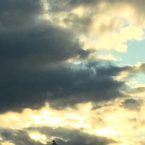 Meet your Posher, Isaac