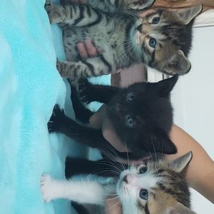 Meet your Posher, Phillip