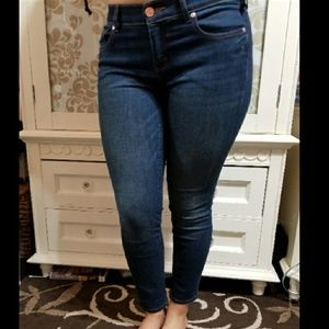 ANN TAYLOR LOFT PETITE MODERN SKINNY ANKLE DARKWSH