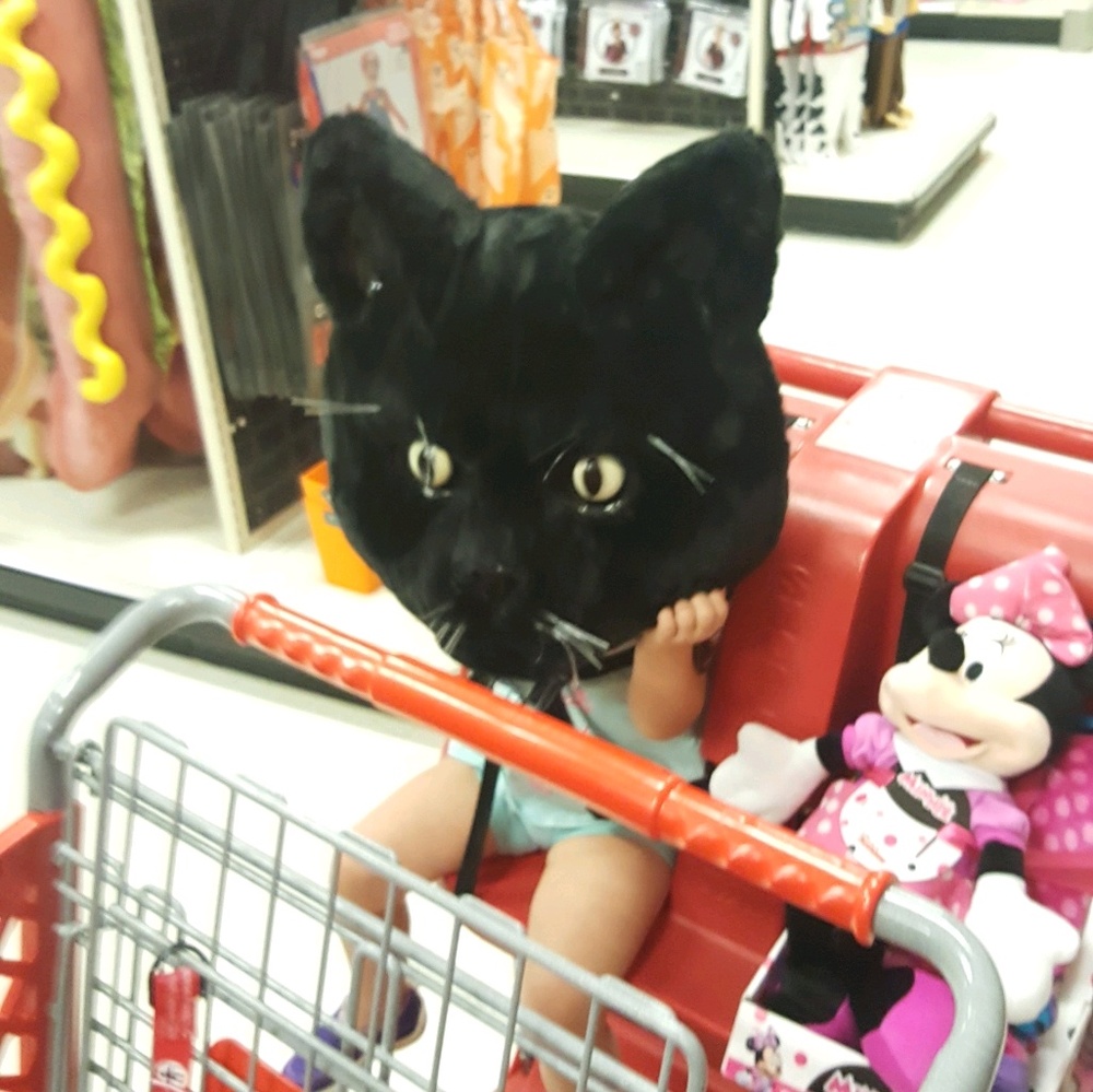 Meet your Posher, Anne