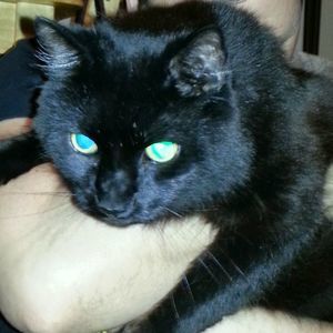 Meet your Posher, Sherry