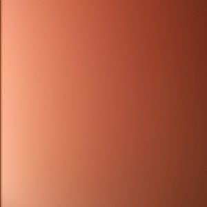 Meet your Posher, Faith