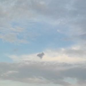 Meet your Posher, Deonta