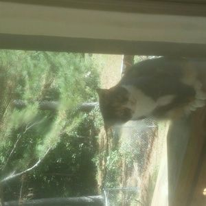 Meet your Posher, Yolanda