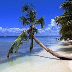 Meet your Posher, Erickson