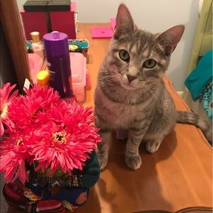 Meet your Posher, Alyssa